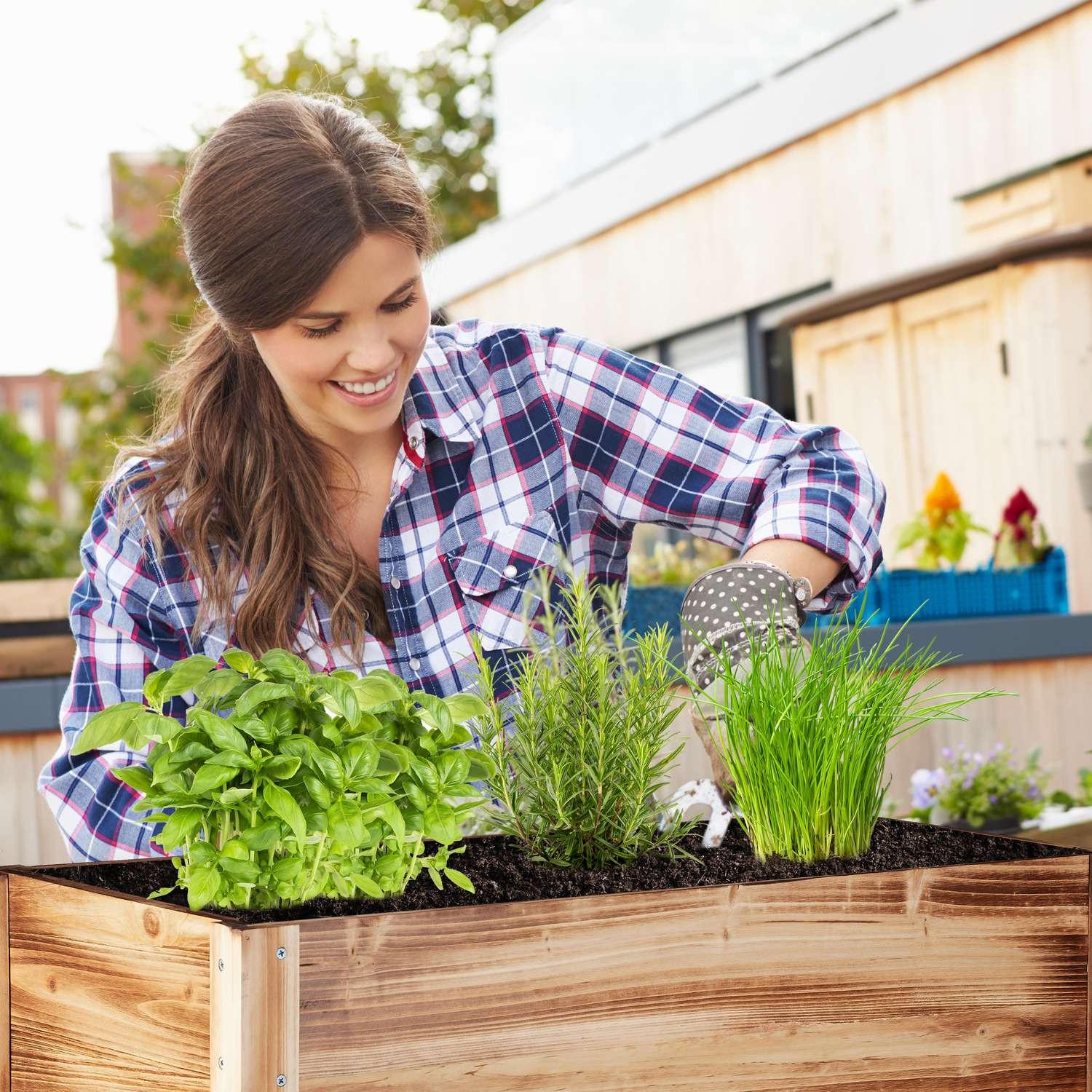 B2X Hochbeet Holz geflammt  