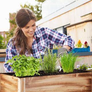 B2X Hochbeet Holz geflammt  