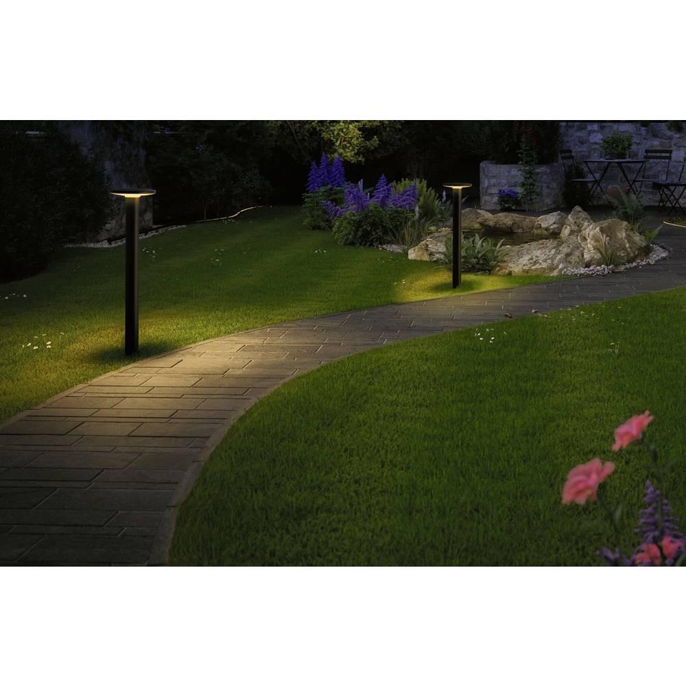 Paulmann Plug & Shine LED Pollerleuchte Plate Einzelleuchte IP44 2200K 7W  