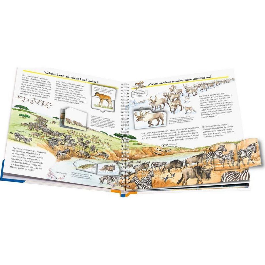 Wieso? Weshalb? Warum?, Band 37: Alles über Tierwanderungen Pätz, Christine; Ebert, Anne (Illustrationen) Gebundene Ausgabe 