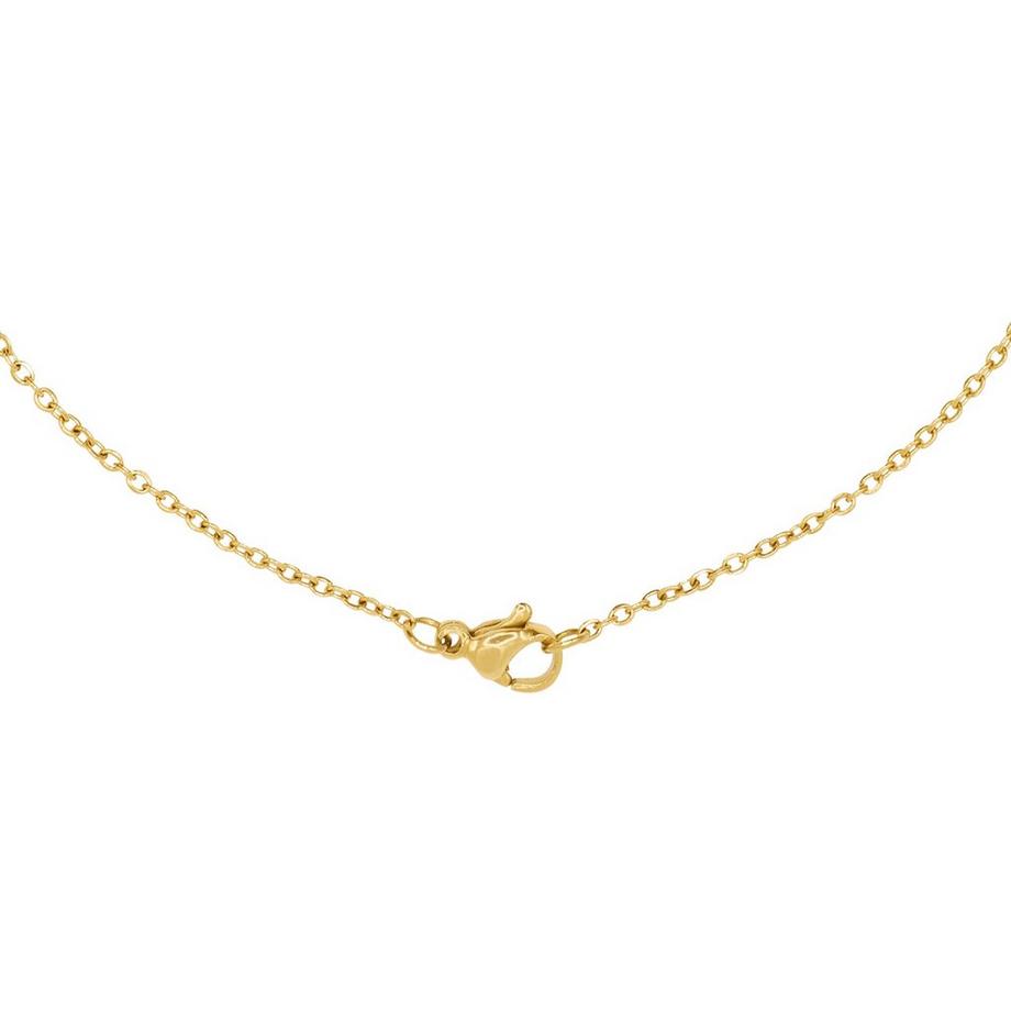 Heideman  Collier Anne 