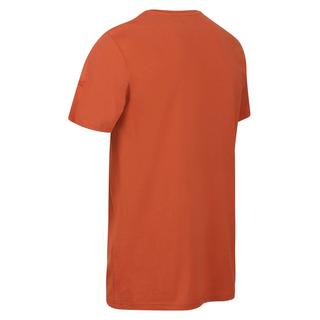 Regatta  Tshirt CLINE 