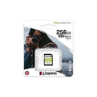 Kingston  Kingston Technology Scheda SDXC Canvas Select Plus 100R C10 UHS-I U3 V30 da 256GB 