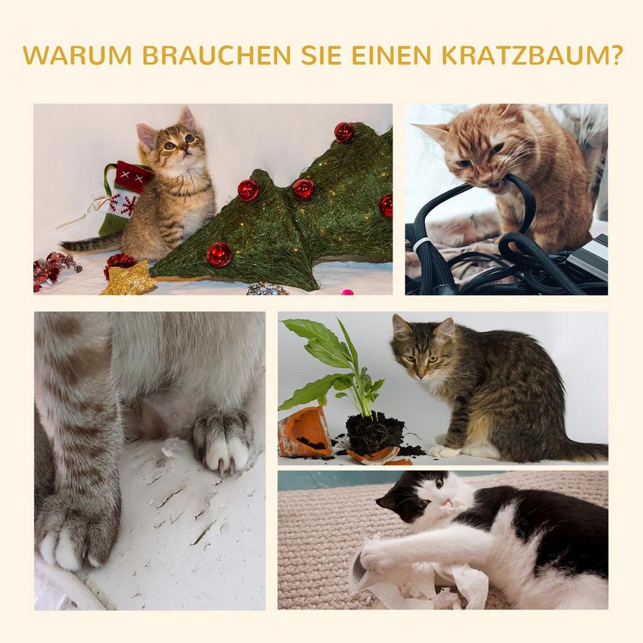 Northio  Kratzbaum Günstig Katze Katzenkratzbaum Kletterbaum Sisal Deckenhoch (Hellgrau) 60 X 45 X 240-260 Cm 