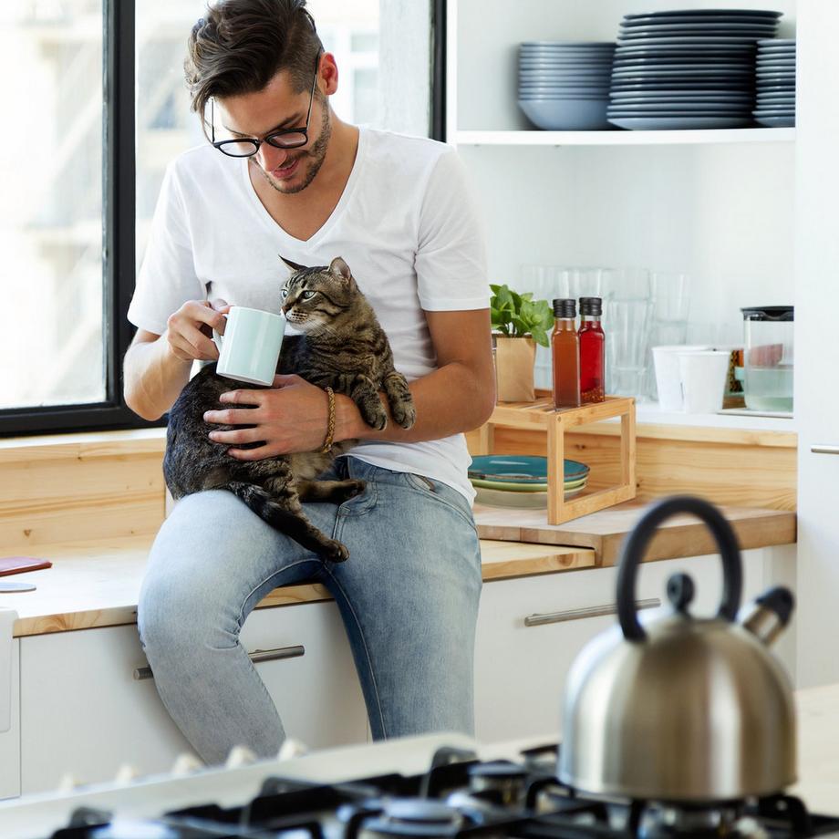 B2X  Einsatz für Schränke aus Bambus 