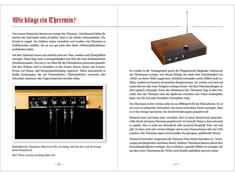 FRANZIS  Klang Bausätze Theremin selber Bauen (zum Löten) 