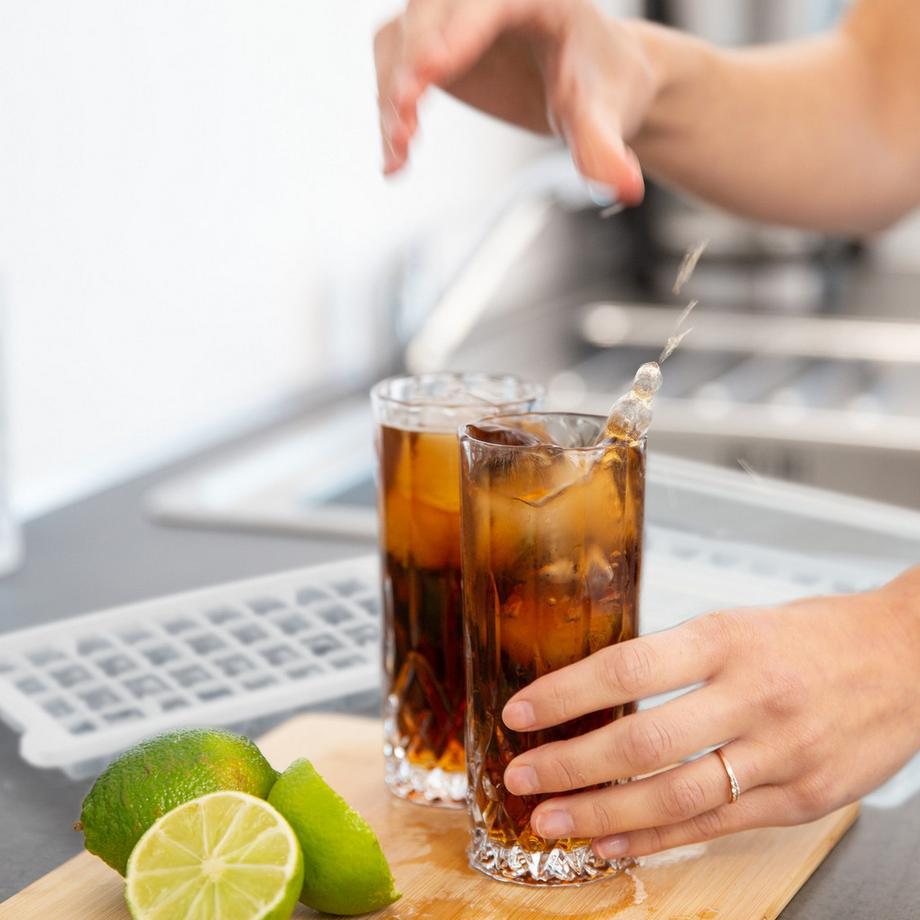 B2X  Eiswürfelformen-Set mit Box und Deckel 