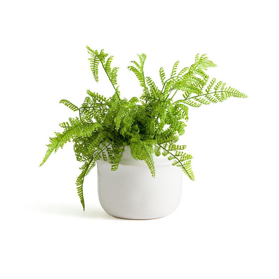 La Redoute Intérieurs Übertopf Filipio  