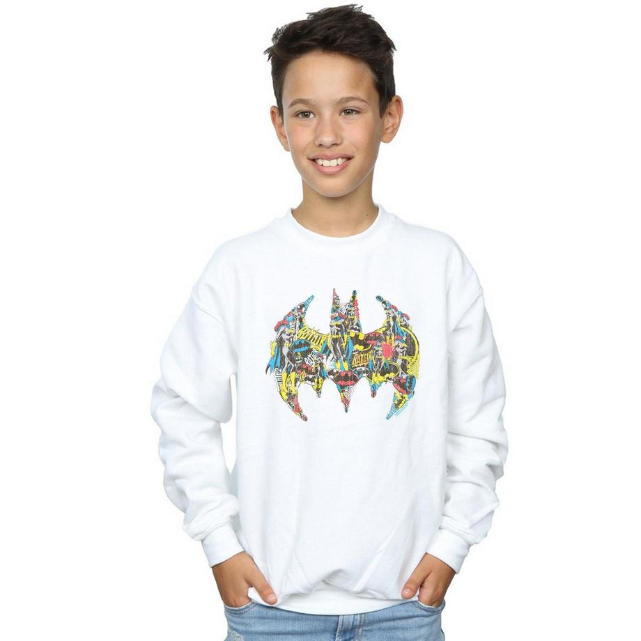 DC COMICS  Sweatshirt 