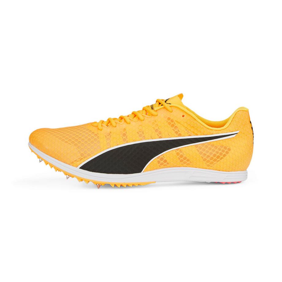 chaussures d'athlétisme evospeed distance 11