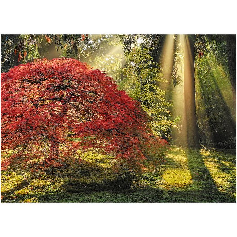 Heye  Heye Magic ForestsFührungslicht 1000 