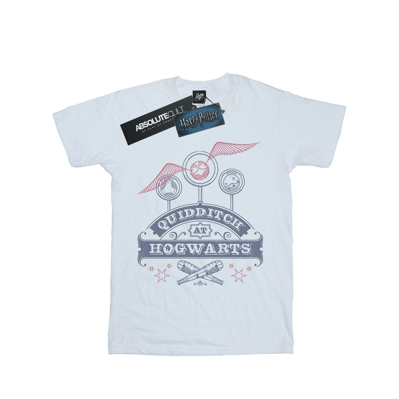 Harry Potter  Quidditch At Hogwarts TShirt 