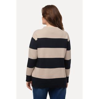 Ulla Popken  Pullover, Streifen, Stehkragen, Langarm, Biobaumwolle 