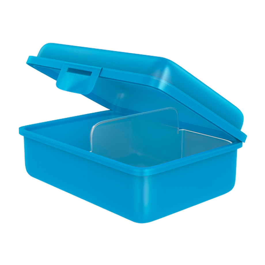 fizzy Fizzii Lunchbox mit Trennfach cyan, Delfin  