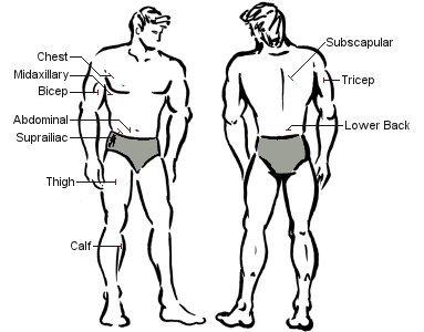 FitLife  Fat Caliper numérique avec ruban de mesure corporelle 