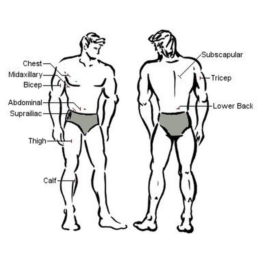 FitLife  Digitaler Fat Caliper inklusive Körpermassband 