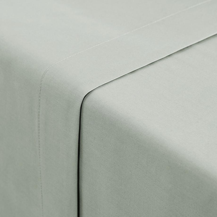 La Redoute Intérieurs Drap plat Scenario  