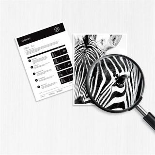 Hewlett-Packard  HP Nr. 305 Combo Pack, TPA schwarz + farbig 