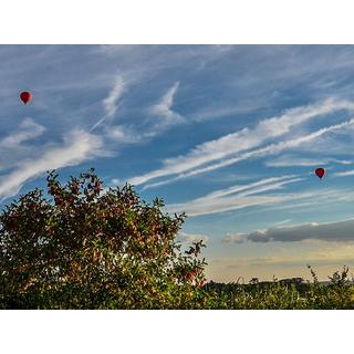 Smartbox  Vol en montgolfière en famille au cœur de la Touraine avec dégustation et visite de cave - Coffret Cadeau 