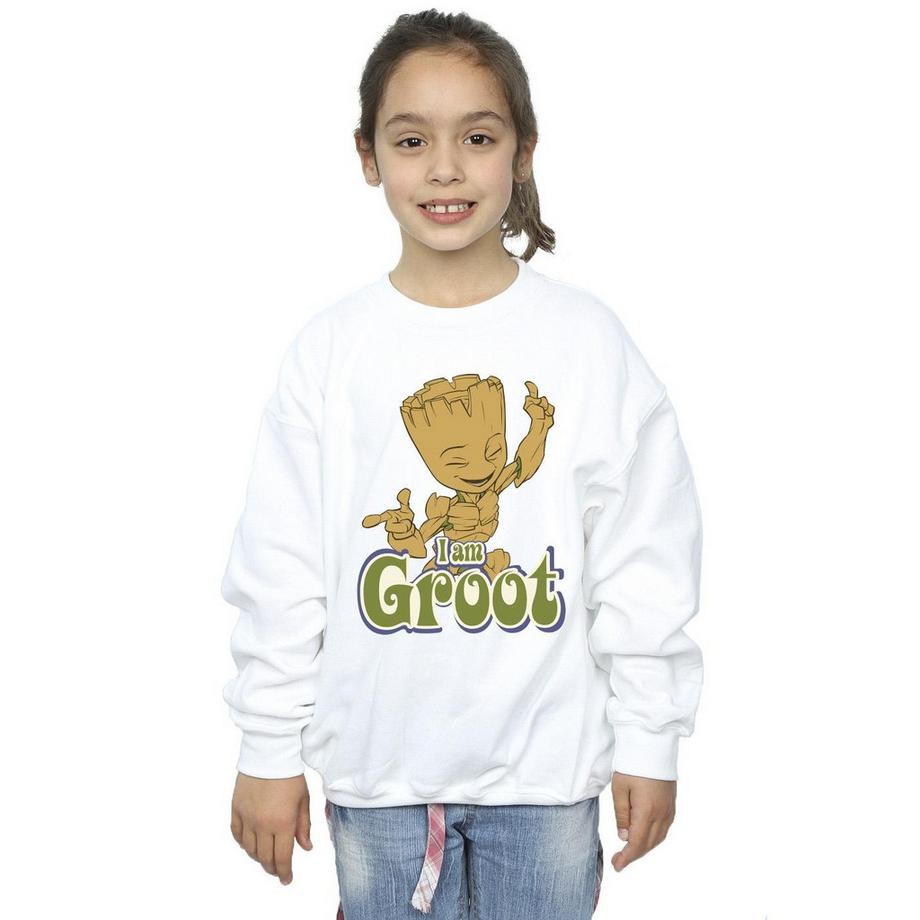 Guardians Of The Galaxy  Sweatshirt 
