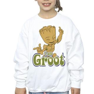 Guardians Of The Galaxy  Sweatshirt 