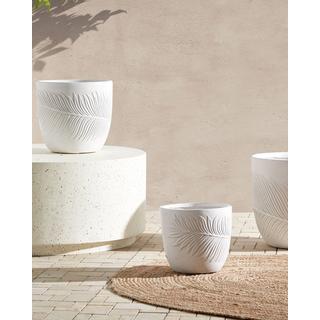 Beliani Cache-pot en Fibre d'argile Moderne FTERO  