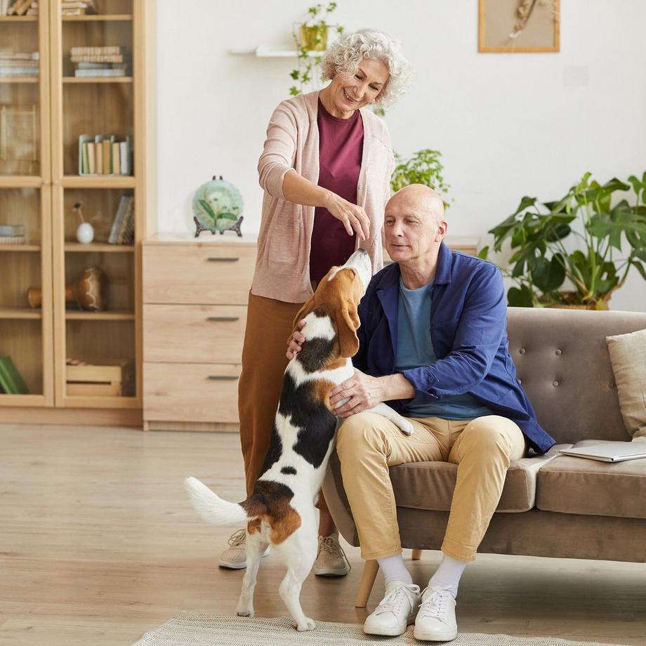 B2X  Antiker Kennzeichenhalter 