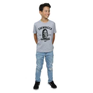 STAR WARS  Tshirt CHEWBACCA COLLEGIATE 