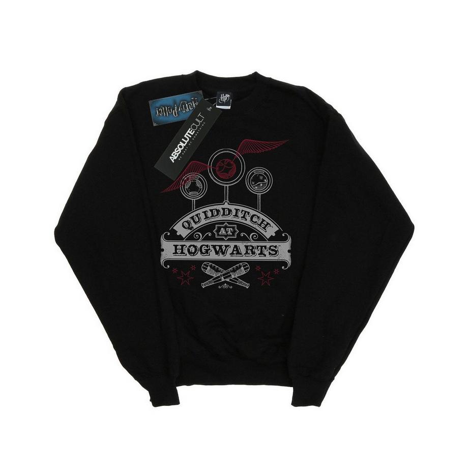 Harry Potter Quidditch At Hogwarts Sweatshirt  