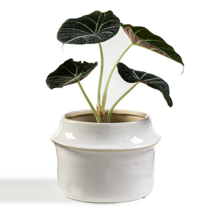 La Redoute Intérieurs Übertopf Filipio  