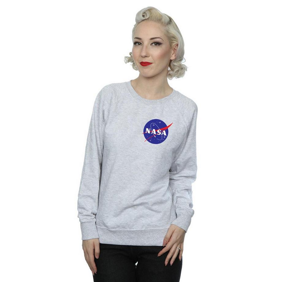 Nasa Logo Rundhals Sweatshirt  