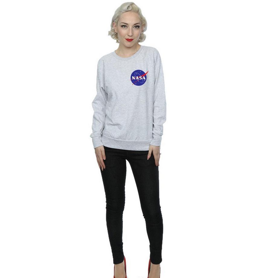 Nasa Logo Rundhals Sweatshirt  