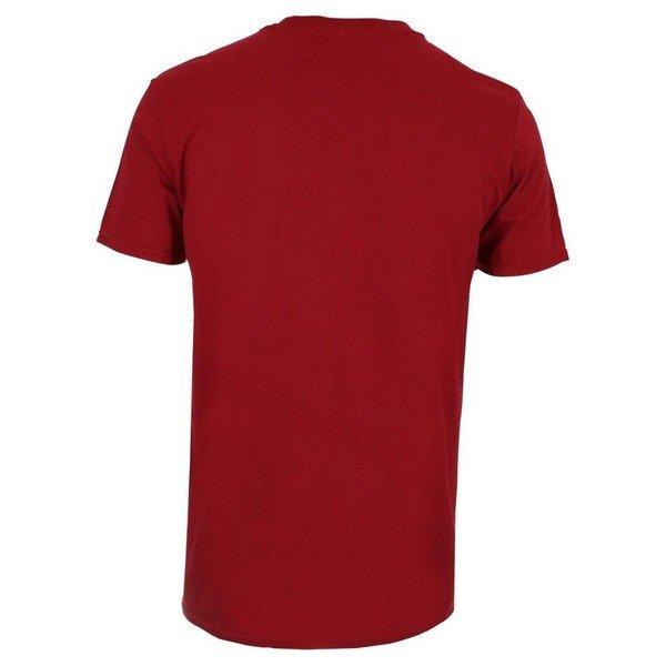 The Flash The Flash Logo Regular Fit T-Shirt  