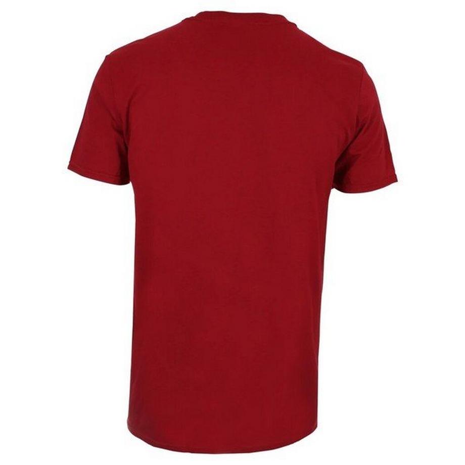 The Flash The Flash Logo Regular Fit T-Shirt  