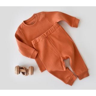 BabyCosy Organic  Set: Hose & T-shirt langarm 