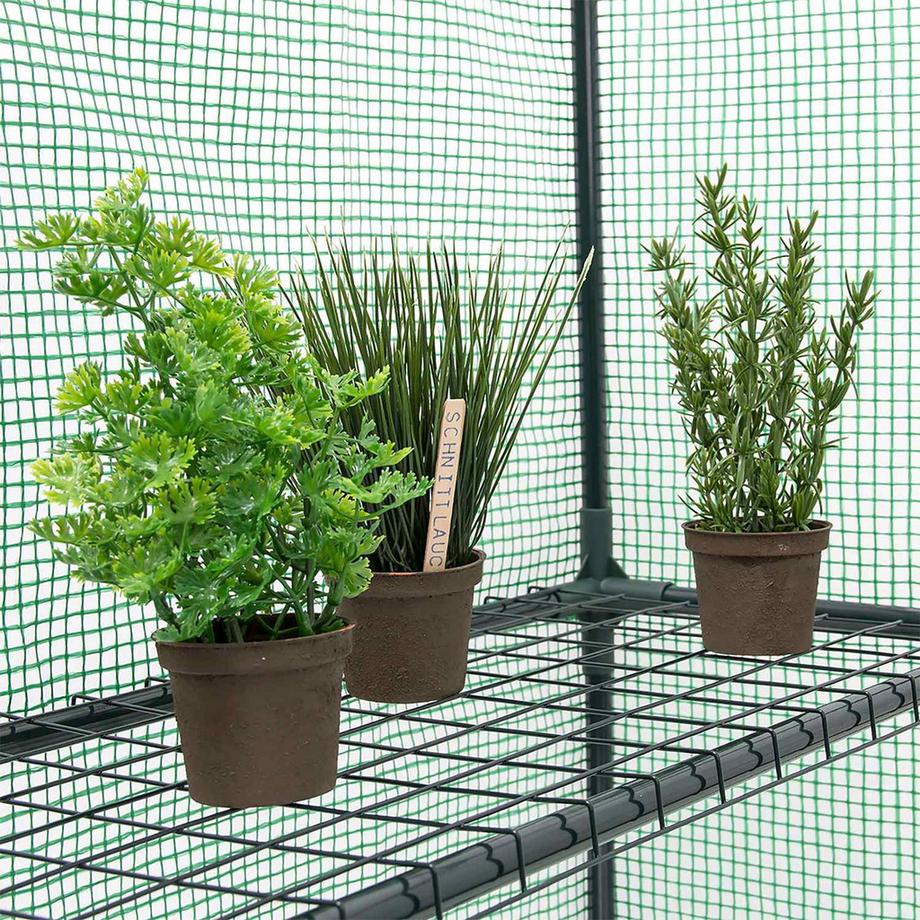 B2X Foliengewächshaus mit Regalen  