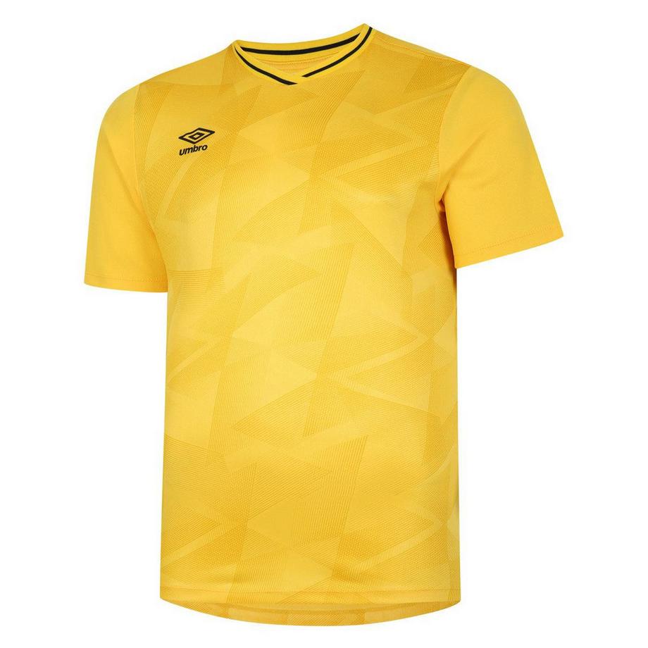 Triassic Trikot  Kurzärmlig