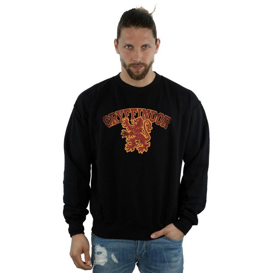 Harry Potter Gryffindor Sweatshirt  
