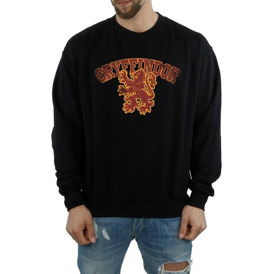 Harry Potter Gryffindor Sweatshirt  