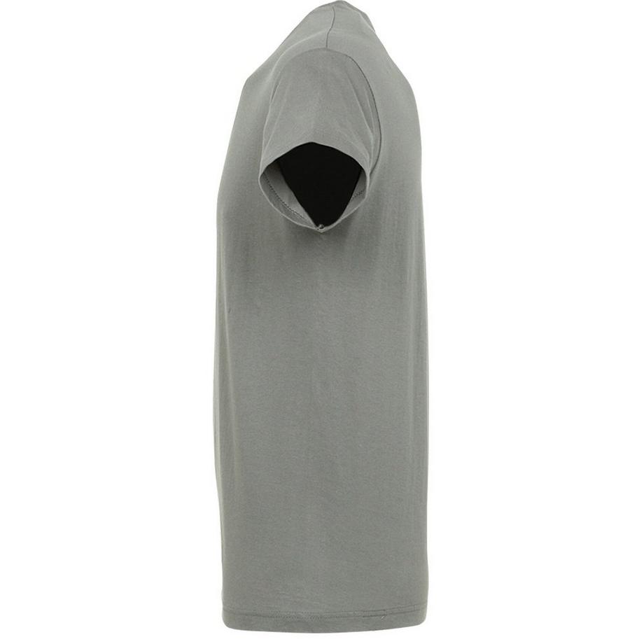 SOLS Regent Kurzarm T-Shirt  