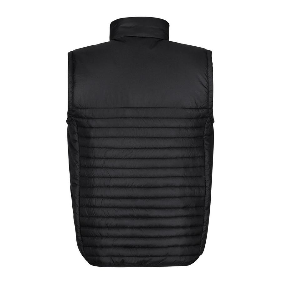 Regatta Honestly Made Gilet Matière Recyclée  
