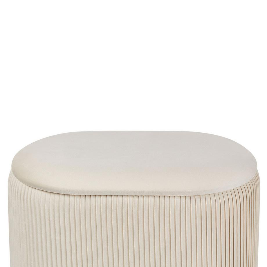 Beliani Pouf contenitore en Velluto Minimalista RICHLAND  