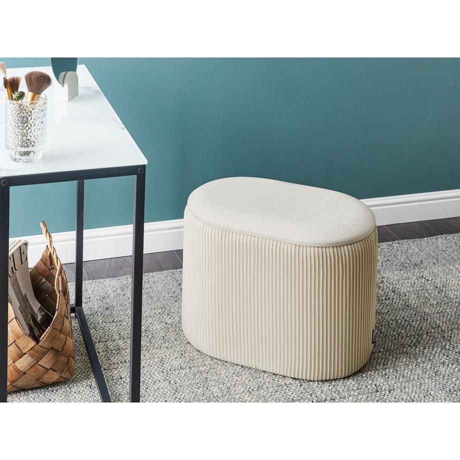 Beliani Pouf contenitore en Velluto Minimalista RICHLAND  