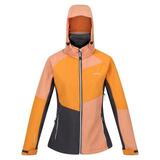 Regatta  Veste softshell DESOTO 