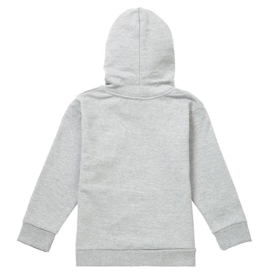 Pink Floyd  Sweat À Capuche Delicate Sound Of Thunder 
