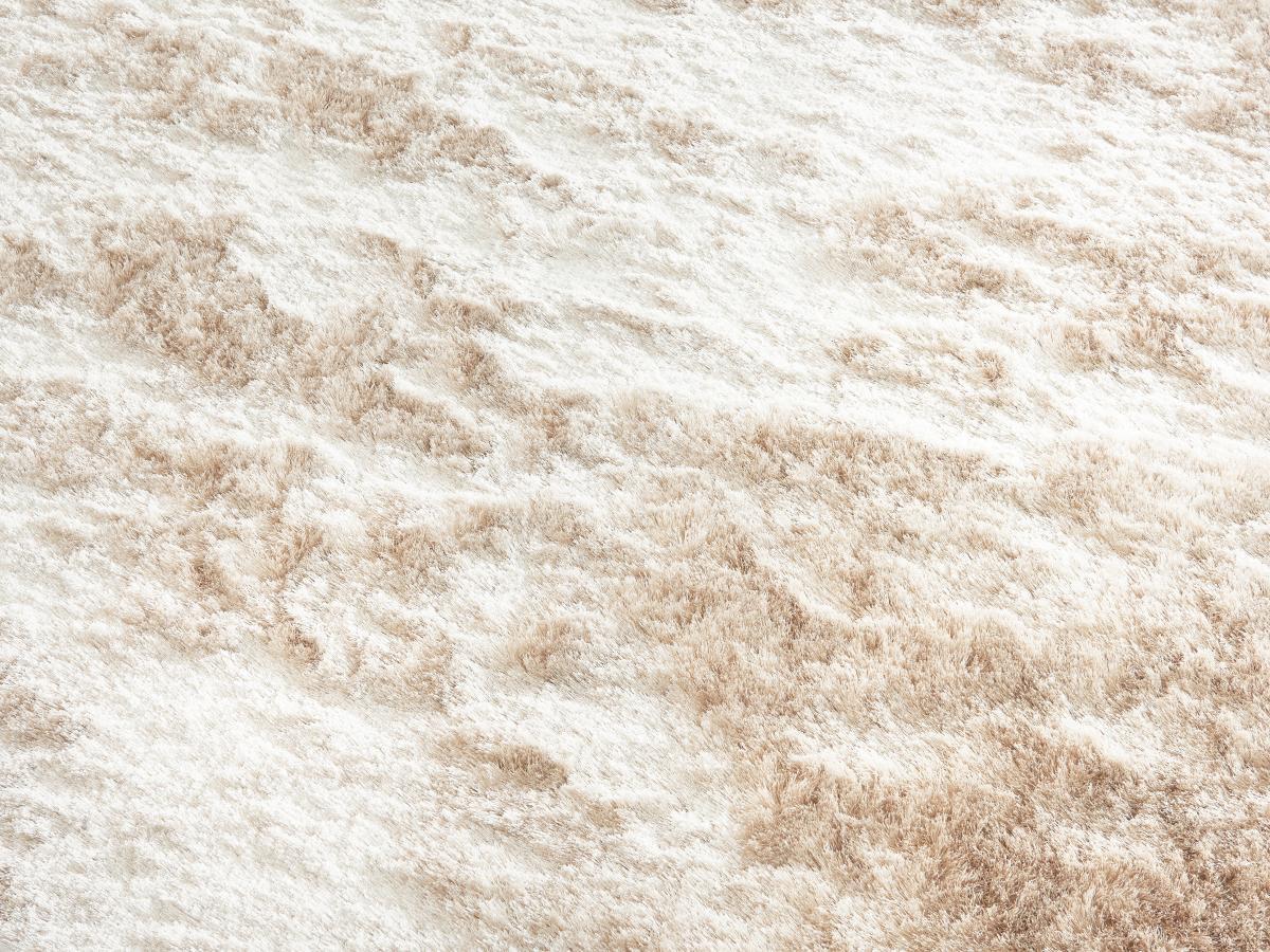 OZAIA Tapis shaggy à poils longs ultra doux- 160 x 230 cm -  Beige - DOLCE  