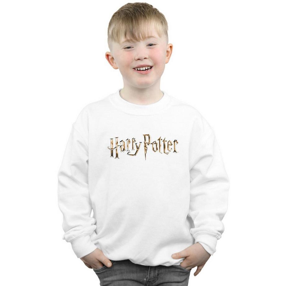 Harry Potter  Sweatshirt 