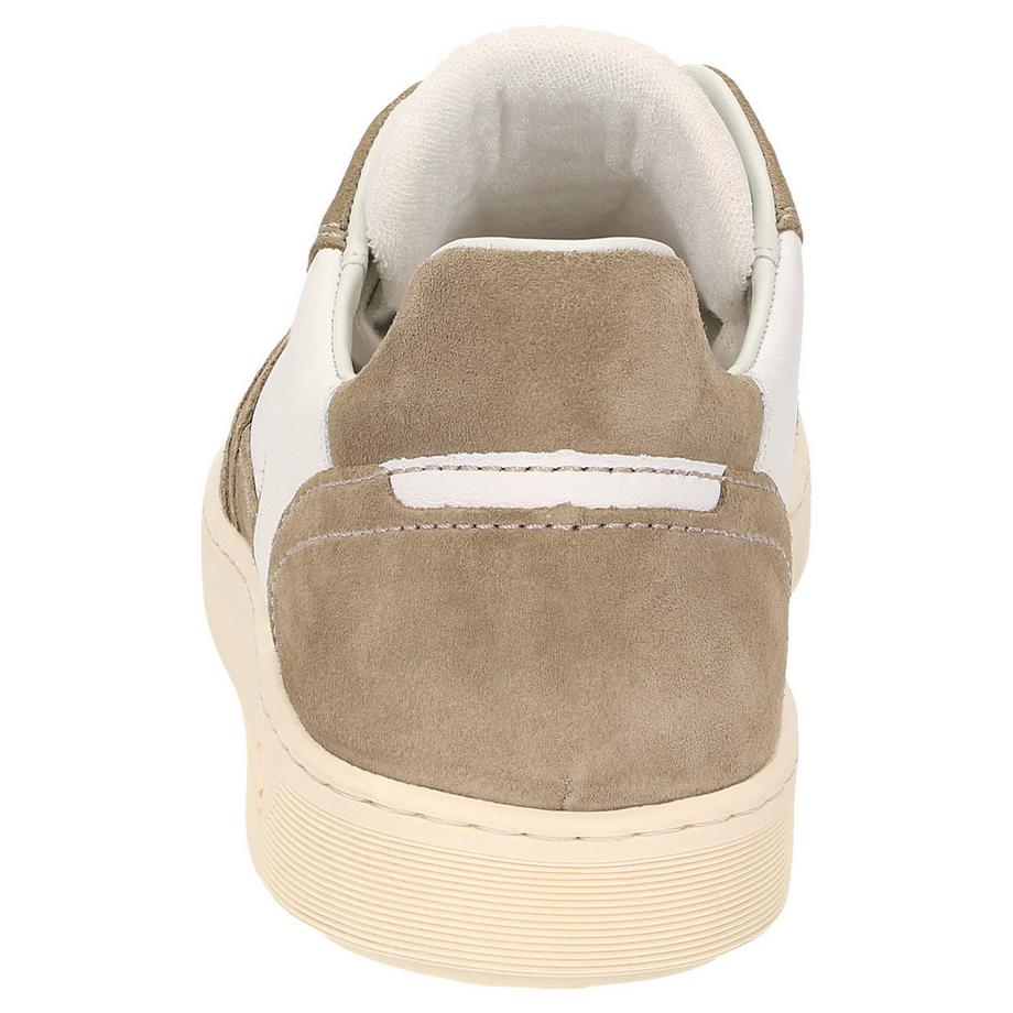 Sioux  Sneaker Tedroso-704 