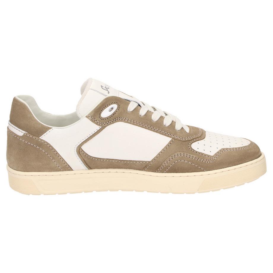 Sioux  Sneaker Tedroso-704 