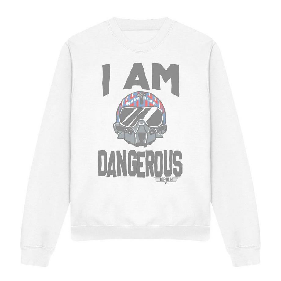 I Am Dangerous Sweatshirt